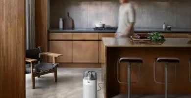 opiniones Dyson Hushjet