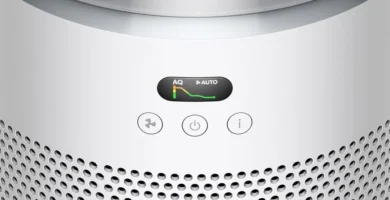 reseña Dyson Hushjet